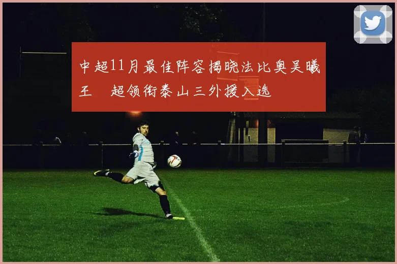 中超11月最佳阵容揭晓法比奥吴曦王燊超领衔泰山三外援入选
